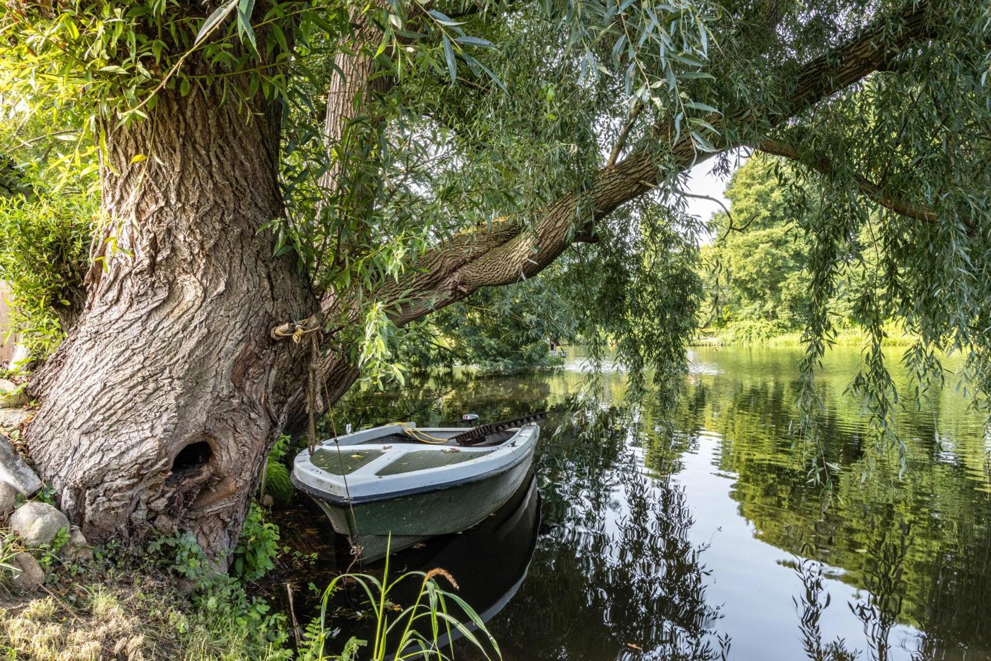 Ferienwohnung Am Parksee Bad Bodenteich Zewnętrze zdjęcie